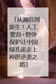 从濒危到新生！人工繁育+野外保护让中国绿孔雀走上种群逆袭之路