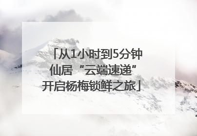 从1小时到5分钟 仙居“云端速递”开启杨梅锁鲜之旅