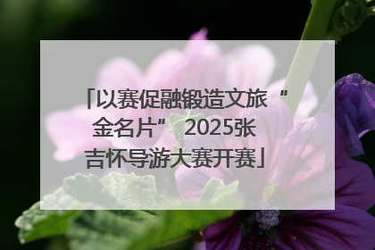 以赛促融锻造文旅“金名片” 2025张吉怀导游大赛开赛