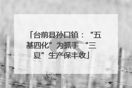 台前县孙口镇：“五基四化”为抓手 “三夏”生产保丰收