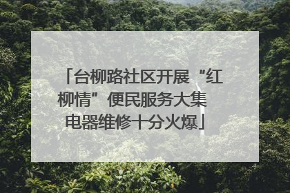 台柳路社区开展“红柳情”便民服务大集 电器维修十分火爆
