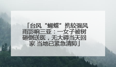 台风“蝴蝶”携较强风雨影响三亚：一女子被树砸倒送医，无大碍当天回家 当地已紧急清障