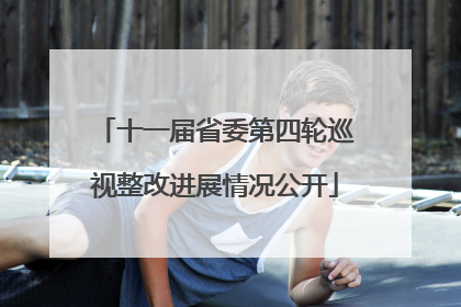 十一届省委第四轮巡视整改进展情况公开