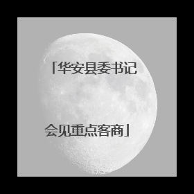 华安县委书记会见重点客商