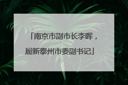 南京市副市长李晖，履新泰州市委副书记