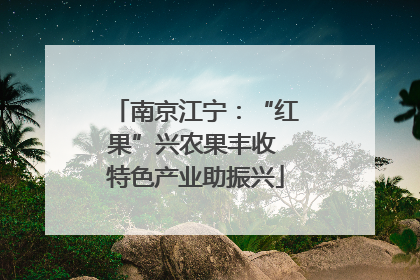 南京江宁：“红果”兴农果丰收 特色产业助振兴