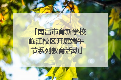 南昌市育新学校临江校区开展端午节系列教育活动