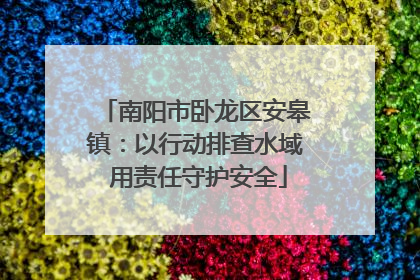 南阳市卧龙区安皋镇：以行动排查水域 用责任守护安全