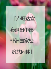 卢旺达宣布退出中部非洲国家经济共同体
