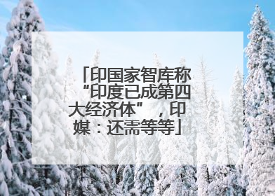 印国家智库称“印度已成第四大经济体”，印媒：还需等等