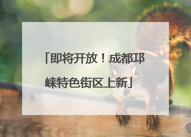 即将开放！成都邛崃特色街区上新