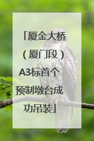 厦金大桥（厦门段）A3标首个预制墩台成功吊装