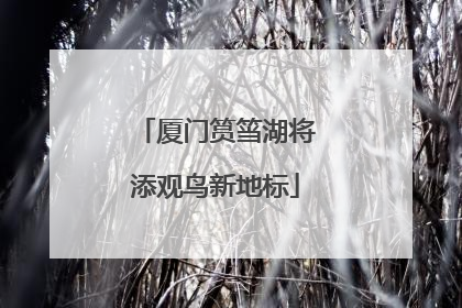 厦门筼筜湖将添观鸟新地标
