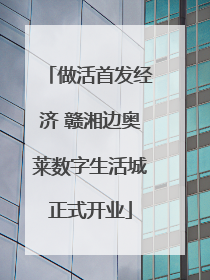 做活首发经济 赣湘边奥莱数字生活城正式开业