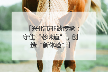 兴化市非遗传承：守住“老味道”，创造“新体验”