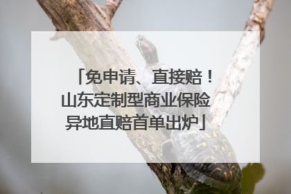 免申请、直接赔！山东定制型商业保险异地直赔首单出炉