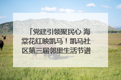党建引领聚民心 海棠花红映凯马！凯马社区第三届邻里生活节谱写幸福新篇章