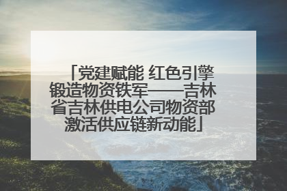 党建赋能 红色引擎锻造物资铁军——吉林省吉林供电公司物资部激活供应链新动能