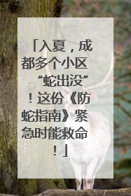 入夏，成都多个小区“蛇出没”！这份《防蛇指南》紧急时能救命！
