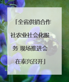 全省供销合作社农业社会化服务 现场推进会在泰兴召开