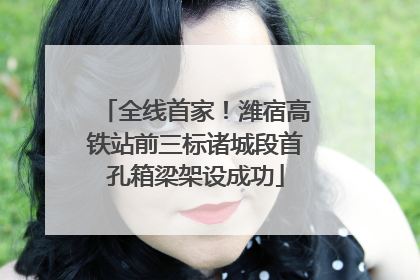 全线首家！潍宿高铁站前三标诸城段首孔箱梁架设成功