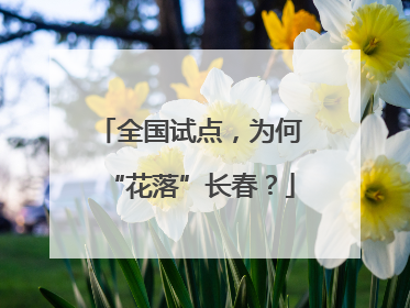 全国试点，为何“花落”长春？