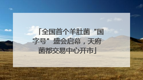 全国首个羊肚菌“国字号”盛会启幕，天府菌都交易中心开市