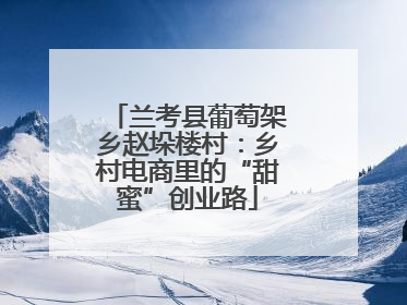 兰考县葡萄架乡赵垛楼村：乡村电商里的“甜蜜”创业路
