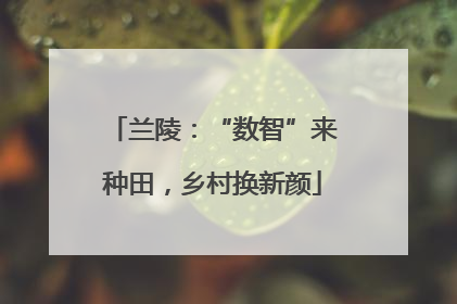 兰陵：“数智”来种田，乡村换新颜