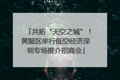 共拓“天空之城”！黄陂区举行低空经济深圳专场推介招商会