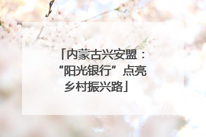 内蒙古兴安盟：“阳光银行”点亮乡村振兴路