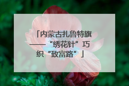 内蒙古扎鲁特旗——“绣花针”巧织“致富路”
