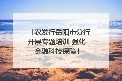 农发行岳阳市分行开展专题培训 强化金融科技保障