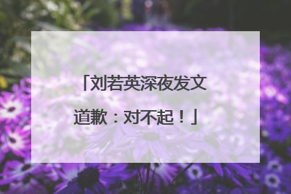 刘若英深夜发文道歉：对不起！