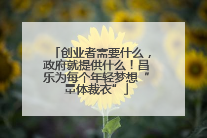 创业者需要什么，政府就提供什么！昌乐为每个年轻梦想“量体裁衣”