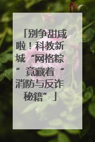 别争甜咸啦！科教新城“网格粽”竟藏着“消防与反诈秘籍”