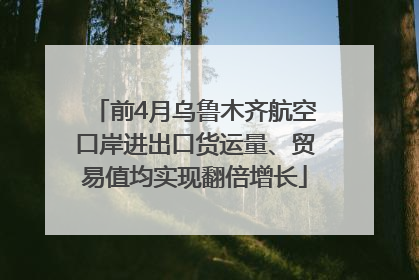 前4月乌鲁木齐航空口岸进出口货运量、贸易值均实现翻倍增长