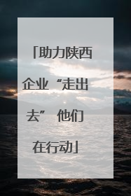 助力陕西企业“走出去” 他们在行动