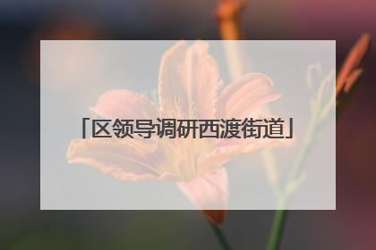 区领导调研西渡街道