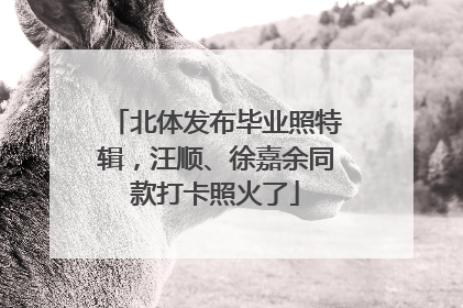 北体发布毕业照特辑，汪顺、徐嘉余同款打卡照火了
