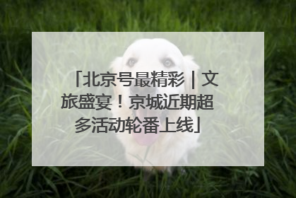 北京号最精彩｜文旅盛宴！京城近期超多活动轮番上线