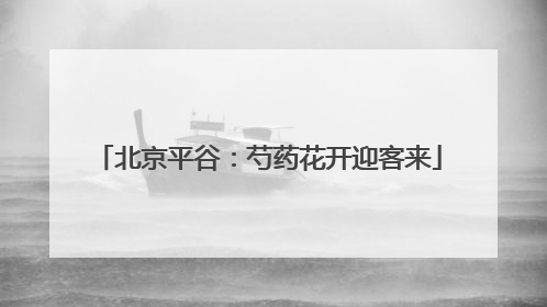 北京平谷：芍药花开迎客来