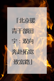 北京援青干部田宁：双向奔赴拓宽致富路