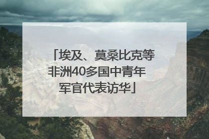 埃及、莫桑比克等非洲40多国中青年军官代表访华