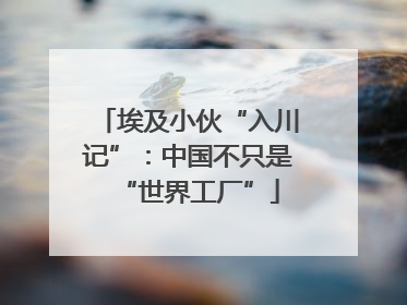 埃及小伙“入川记”：中国不只是“世界工厂”