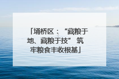 埇桥区：“藏粮于地、藏粮于技” 筑牢粮食丰收根基