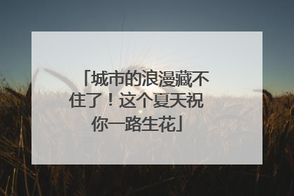 城市的浪漫藏不住了！这个夏天祝你一路生花