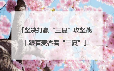 坚决打赢“三夏”攻坚战丨跟着麦客看“三夏”