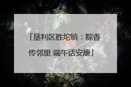 垦利区胜坨镇：粽香传邻里 端午话安康