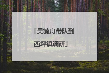吴毓舟带队到西坪镇调研